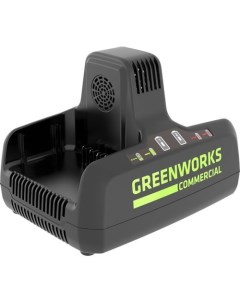Зарядное устройство 2939007 Greenworks