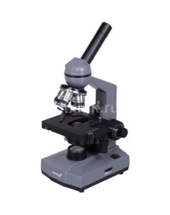 Микроскоп D320L Base световой оптический биологический 40 1000x на 4 объектива серый черный Levenhuk