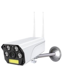 Камера видеонаблюдения IP IPC 270S 1080p 2 8 мм белый Ritmix