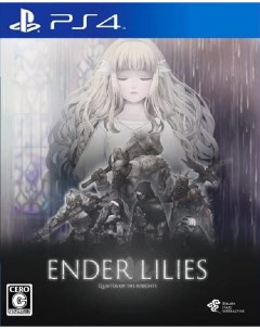 Игра Ender Lilies Quietus of the Knights PS4 полностью на иностранном языке Binary haze interactive