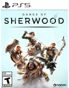 Игра Gangs of Sherwood PlayStation 5 полностью на иностранном языке Nacon