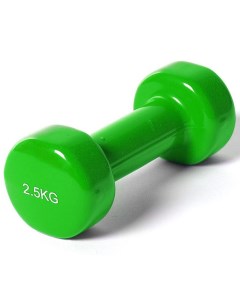 Гантель виниловая 2 5 кг зеленый Sportex