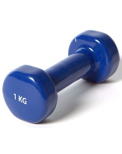 Гантель виниловая York 1 0 кг синий Sportex