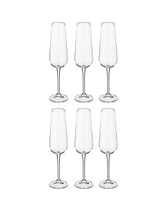 Набор бокалов для шампанского amundsen ardea из 6 шт 220 мл 26 5 см Crystal bohemia
