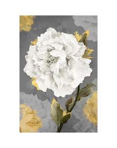 Картина на холсте Постер лайн Белый цветок 1 40x60 см Nobrand