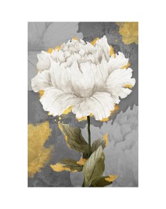 Картина на холсте Постер лайн Белый цветок 40x60 см Nobrand