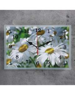 Часы картина настенные серия Цветы Ромашки 20х30 см Сюжет
