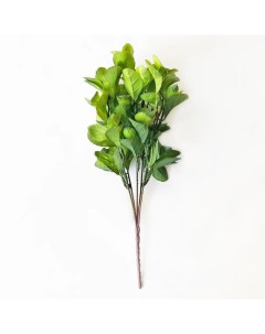 Искусственное растение Фикус 36x22 см пластик цвет зеленый Nobrand