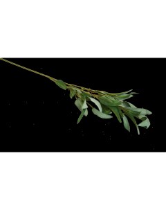 Искусственная ветка Листья 91 5 см полиэстер цвет зеленый Nobrand