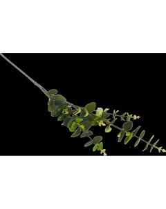 Искусственное растение эвкалипт 91 см зеленый полиэстер Atmosphera