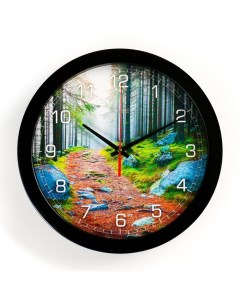 Часы настенные серия Природа Лесная тропа плавный ход d 28 см Соломон