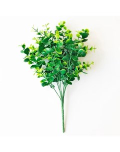 Искусственное растение Эвкалипт Ганна 35x22 см пластик цвет зеленый Nobrand