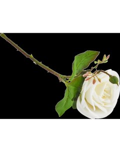 Искусственный цветок Роза Гран При 43 см цвет белый Nobrand