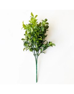 Искусственное растение Эвкалипт микс 35x20 см пластик цвет зеленый Nobrand