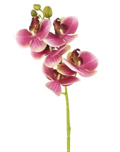 Цветок искусственный Орхидея бордо на ножке 70 см Gloria garden