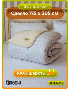 Одеяло 2 спальное шерстяное Равновесие 175х205 серый Holty