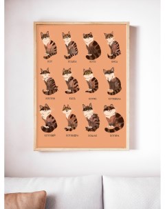 Постер Коты 50х70 в рамке Просто постер