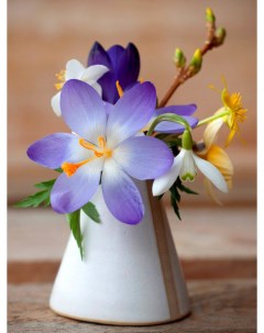 Картина Весенние полевые цветы в мини вазе Woozzee