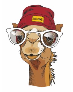 Картина интерьерная Верблюд в очках Woozzee