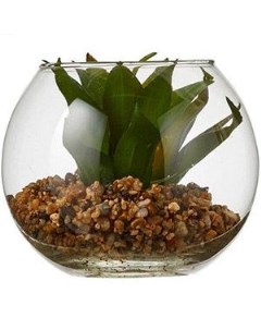 Элитное искусственное растение суккулент в вазочке 10х12 см арт 1047778 1 Интекс