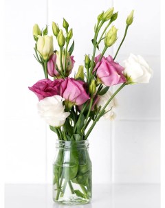Картина Стеклянная ваза с фиолетовыми и белыми цветами эустомии Woozzee