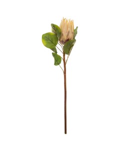 Цветок искусственный Протея высота 68 см без упаковки 278 118 Lefard