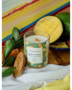 Свеча ароматическая Манго и кокосовое молоко деревянный фитиль Perfect day candles