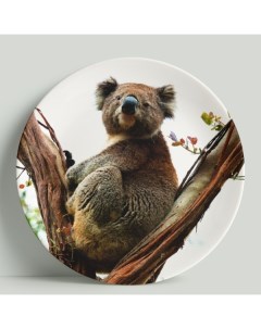 Декоративная тарелка Медведь коала 20 см Wortekdesign