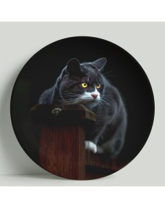 Декоративная тарелка кот дымчато белый 20 см Wortekdesign