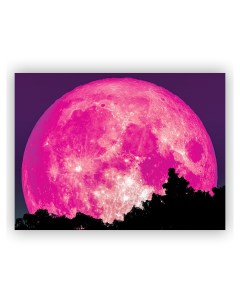 Картина Розовая луна Woozzee