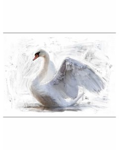 Картина интерьерная Лебедь Woozzee