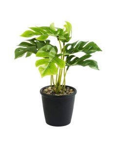 Искусственное растение монстера в горшке 23 см Феникс-презент