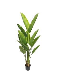 Искусственное растение Стрелиция 160 см Nobrand