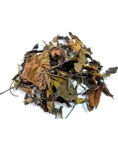 Чай Мэнсун Бай Ча Белый чай с пуэрных деревьев гор Мэнсун 500 гр Чайная линия