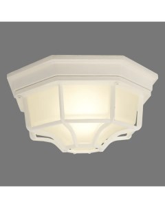 Светильник настенно потолочный уличный Pegas 100 Вт IP65 цвет белый Arte lamp