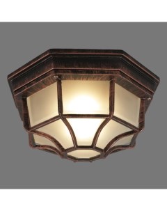 Светильник настенно потолочный уличный Pegas 100 Вт IP65 цвет античная медь Arte lamp