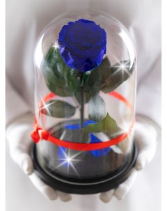 Стабилизированная роза в колбе TheRoseDome синий The rose dome