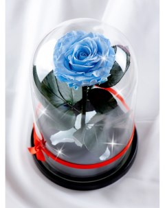 Стабилизированная роза в колбе TheRoseDome голубой The rose dome