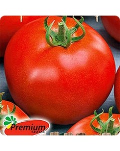 Семена томат Покоритель севера F1 1 уп Premium seeds