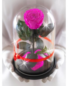 Стабилизированная роза TheRoseDome в стекле ярко розовый The rose dome