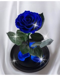 Стабилизированная роза в колбе TheRoseDome 25 см The rose dome