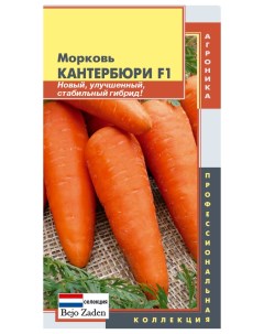 Семена морковь Кантербюри F1 20385 1 уп Плазмас
