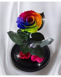 Стабилизированные роза в колбе TheRoseDome 25 см The rose dome