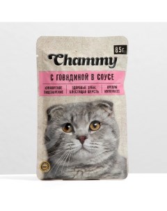 Влажный корм для кошек говядина кусочки в соусе пауч 85 г 25 шт Chammy