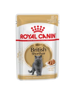 Влажный корм British Shorthair для британской кошки старше 12 мес 24 шт х 85 г Royal canin
