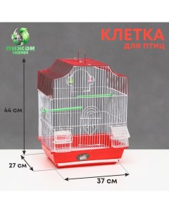 Клетка для птиц фигурная с кормушками 34 х 27 х 44 см красная Пижон