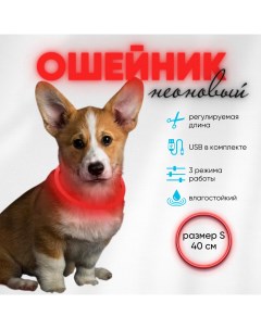 Ошейник для собак Walk со светодиодами цвет красный оптоволокно 40 см Zdk