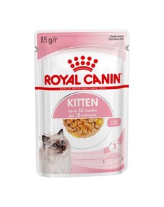 Влажный корм Kitten кусочки в желе для котят 24 шт х 85 г Royal canin