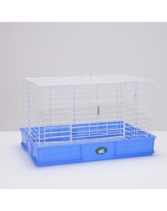 Клетка для кроликов RT 1 синяя пластик 62 х 42 х 39 см Пижон