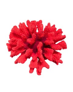 Коралл для аквариума брокколи красный 14х13х7 см Grotaqua